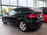 Audi A3 Cabriolet 1.8 TFSI * Ambition * & Leder Beige - Audi A3: Cabrio, Ambition