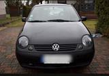 Volkswagen VW Lupo 1.0 2003 - Volkswagen Lupo: 1.2