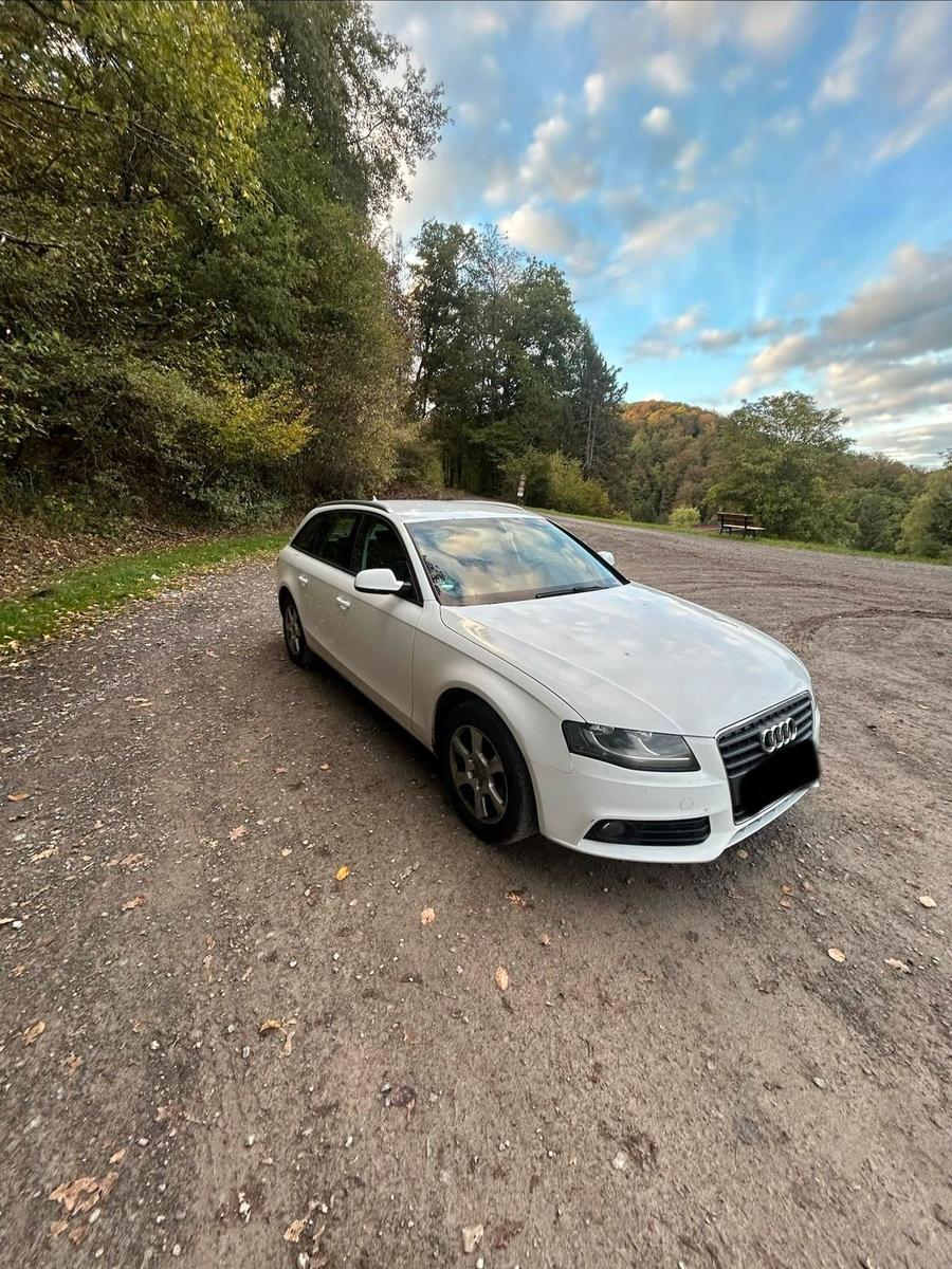 Audi A4 2010 — photo 8