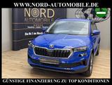 Skoda Karoq Ambition 2.0 TDI DSG Virt.Cockpit/Kamera - Skoda Karoq in Oldenburg