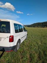Volkswagen Caddy 1,2TSI 62kW BMT Trendline 5-Sitzer Tre... - VW Caddy von privat