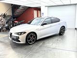 Alfa Romeo Giulia 2.0 Competizione Q4 Panoramadach - Alfa Romeo Gebrauchtwagen mit Automatikschaltung