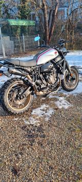 Yamaha XSR 700 XTribute - YAMAHA 700