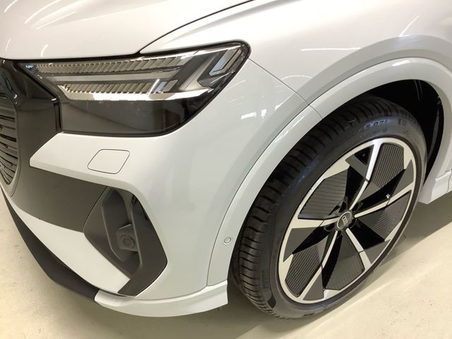 Q4 e-tron 50 quattro 360° Kamera, Matrix-LED,Pan
