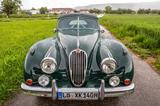 Jaguar XK 140 DHC - 1-a-gepflegt - nur 11 tsd km  - Jaguar XK aus 1955