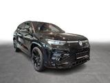 Volkswagen Tayron 2.0TDI DSG R-Line 4x4 STHZG LEDER AHK Hea - Volkswagen: Vollleder