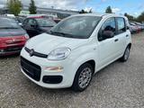 Fiat Panda Easy * Klima * PDC - gebrauchte Fiat Panda aus dem Jahr 2020