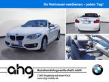 BMW 218i Cabrio Advantage Aut. Navi Business PDC LM - BMW 2er Reihe aus 2019