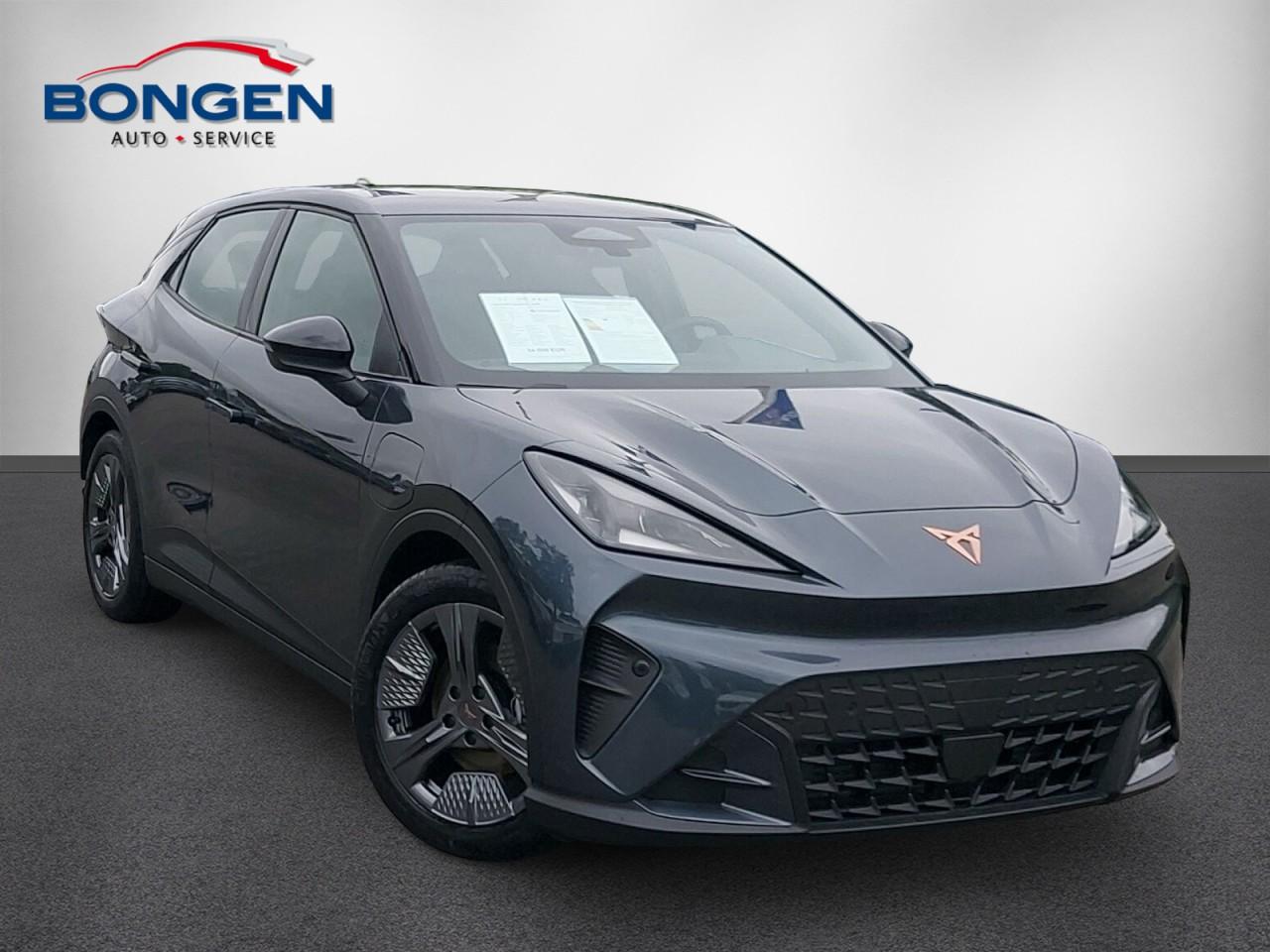 Cupra Raval Endurance Edition Dynamic 155kW Rückfahrka