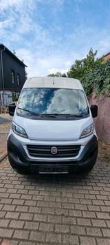 Fiat Ducato Transporter 2019 wenig gelaufe... - Fiat: Transporter