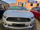 Ford Mustang 5.0 V8 GT Automatik-Performance-TOP - Ford Mustang: Performance