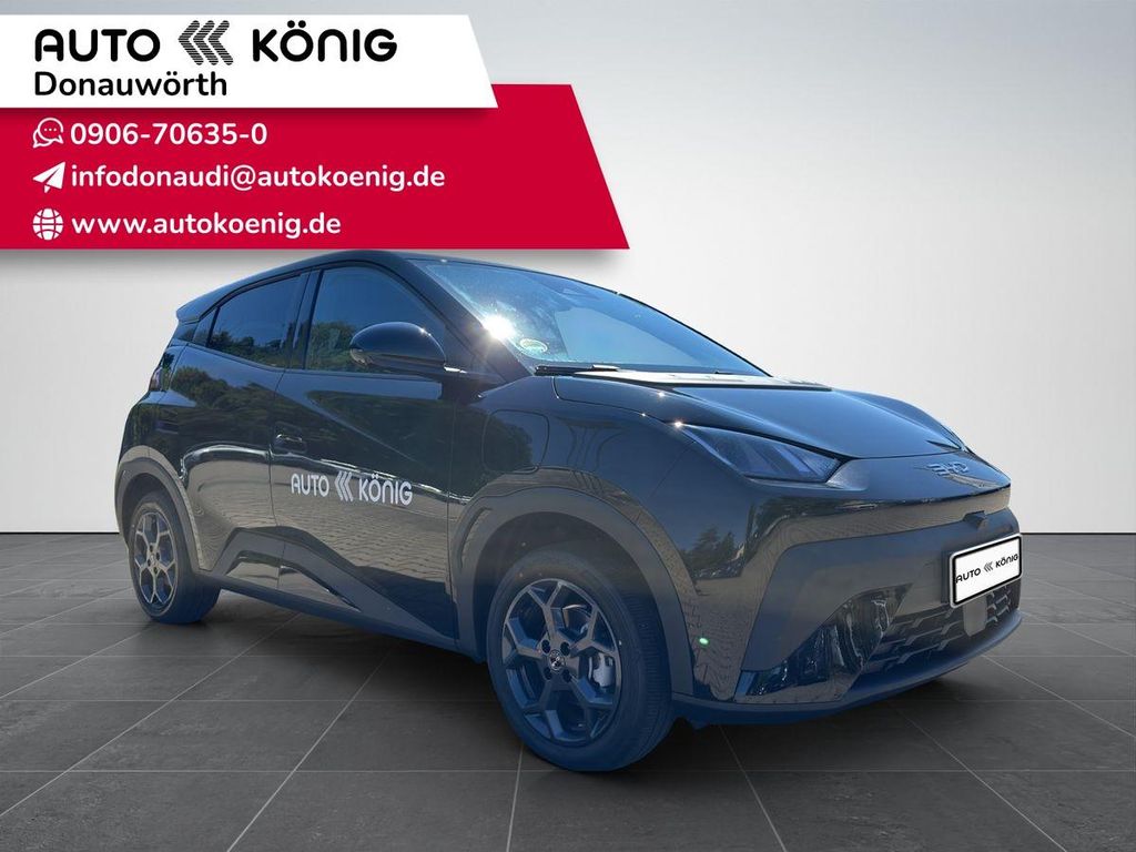 Image of BYD DOLPHIN SURF