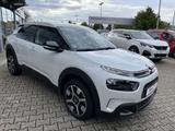 Citroën C4 Cactus PureTech 130 Stop&Start Shine Panorama - Citroën C4 Cactus Gebrauchtwagen