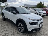 Citroën C4 Cactus PureTech 130 Stop&Start Shine Panorama - Citroën: Kombi