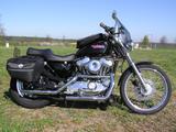 Harley-Davidson Sportster XL1200 C - Offers