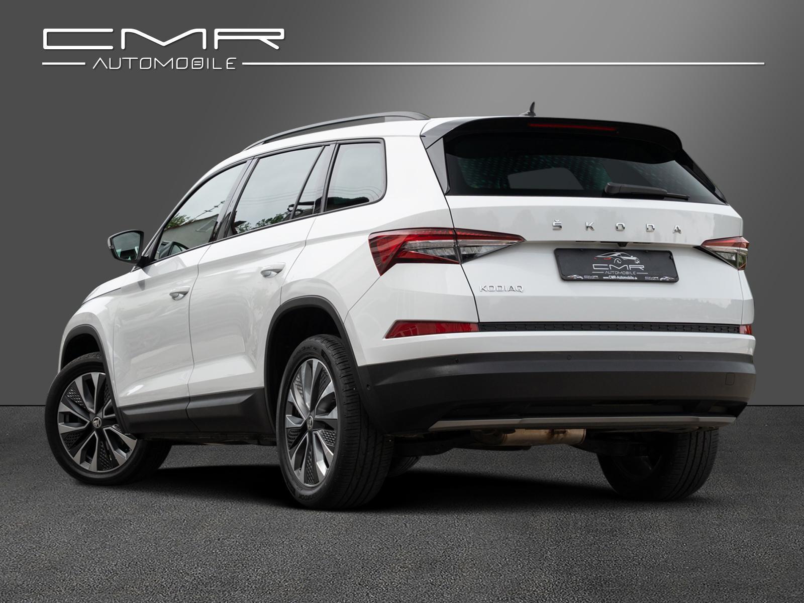 Skoda Kodiaq Ambition Tour AHK DAB+ SunSet Amundsen, миниатюра 6