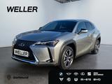 Lexus UX 250h Style Edition *Bi-LED*ACC*CAM*SHZ*CarPla - Lexus in Dortmund