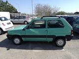 Fiat Panda - gebrauchte Fiat Panda aus dem Jahr 2000