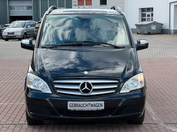 Mercedes Viano - 2