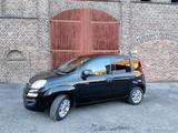 Fiat Panda Easy 1.2 - 1. Hand von 04/2018 - Fiat Panda in Hagen