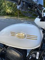 Jawa Perak Winterpreis bis 31.01.26 - JAWA PERAK