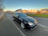 Mercedes-Benz C 55 AMG AMG - Mercedes-Benz C 55 AMG aus 2005