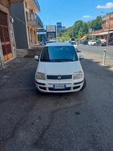 Fiat Panda 1.3 MJT 16V DPF Active - Fiat Panda Active mit Diesel-Antrieb