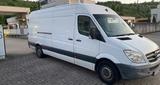 Mercedes-Benz Mercedes Sprinter 313 CDI XXL - Mercedes-Benz Sprinter Gebrauchtwagen in Münster