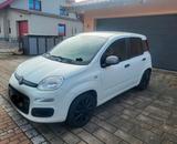 Fiat Panda Young - Fiat Panda Young mit Benzin-Antrieb