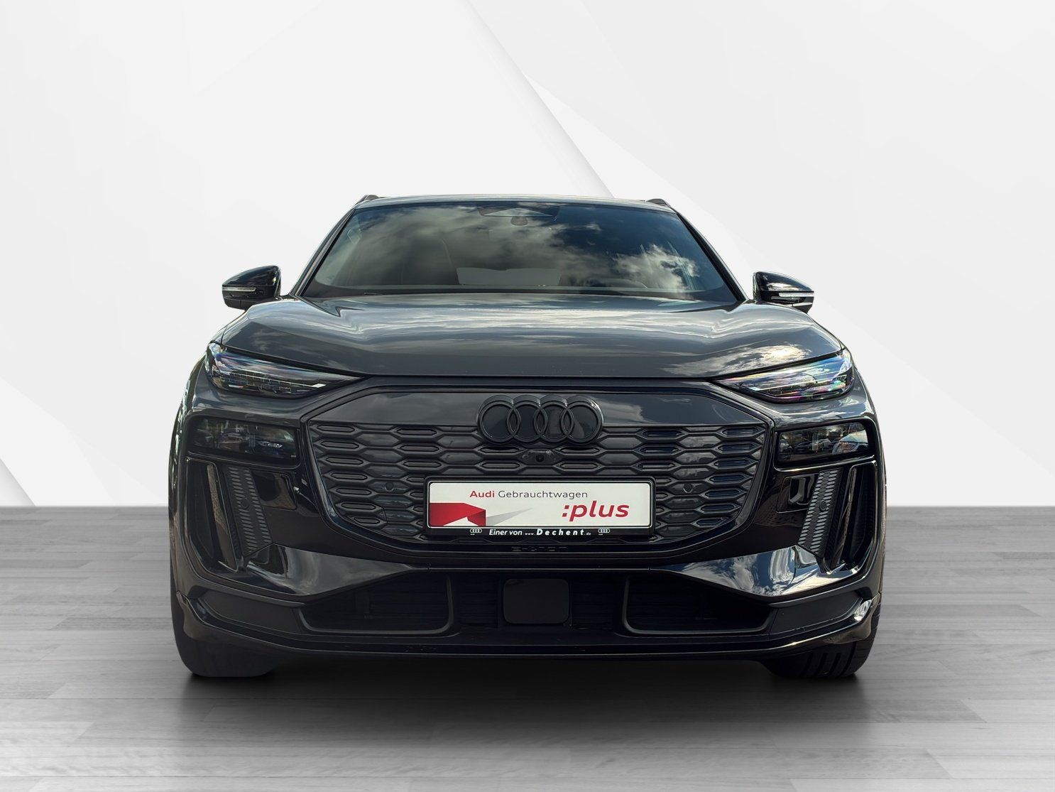 Fahrzeugabbildung Audi Q6 e-tron performance TechPro 360,AHK,HUD,Kamera