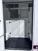 Renault PARAGAN - Pegasus 3 XL - 2-Pferde-Transporter - Tier- & Pferdetransport für 2 Pferde