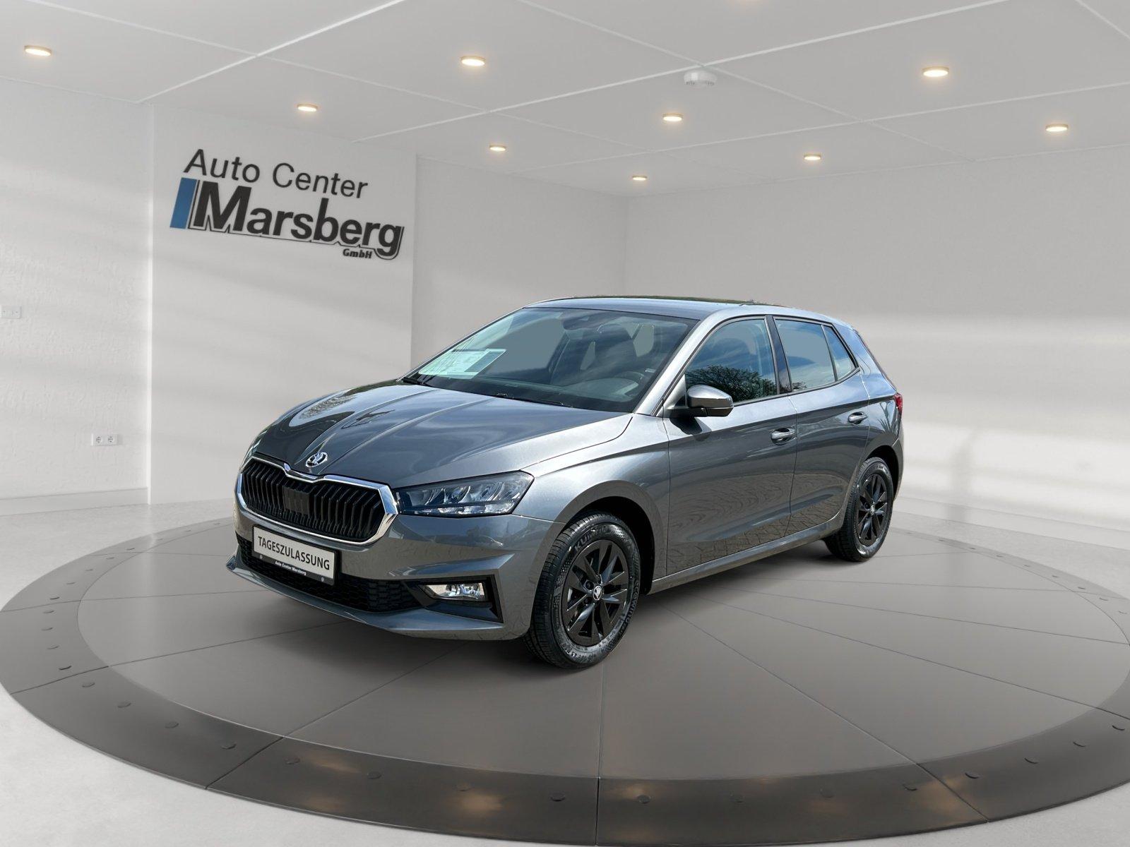 Skoda Fabia 1.0 TSI Selection 2xKlima KlimaA LED LM