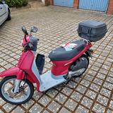 Honda SH 50 T - Angebote entsprechen deinen Suchkriterien