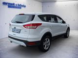 Ford Kuga 1.5 EcoBoost 2x4 SYNC - gebrauchte Pickups