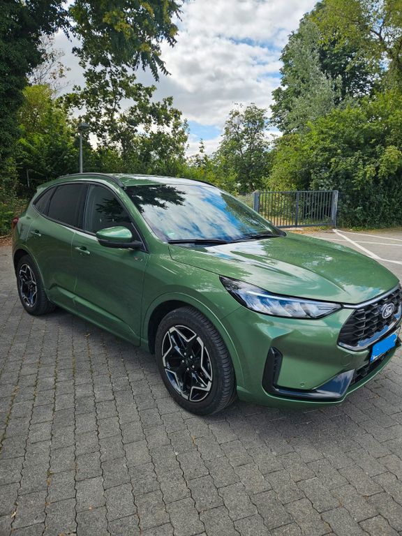 2024 Ford Kuga
