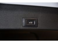 Cupra Terramar - Vorschau Bild 11