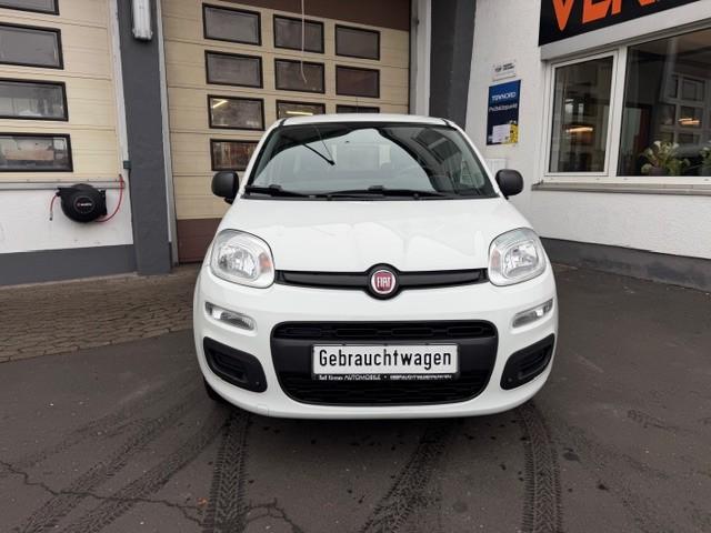 Fiat Panda POP Klima ZV Radio Navi Kamera Allwetter