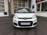 Fiat Panda POP Klima ZV Radio Navi Kamera Allwetter - gebrauchte Fiat Panda aus dem Jahr 2016