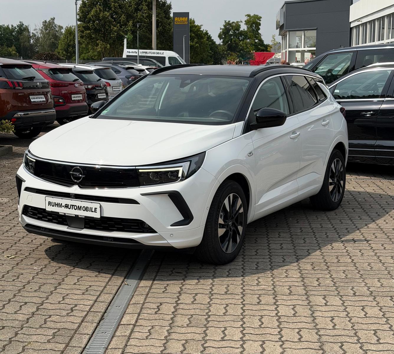 Opel Grandland Ultimate ScheibeLenkr.Sitzh. Totwinkel