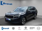 Skoda Kodiaq 1.5 eTSI Selection DSG+STDHZ+KAMERA+AHK - Skoda Kodiaq Tageszulassungen