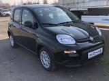 Fiat Panda MY24 1.0 Klima PDC Citypaket - Fiat Panda Gebrauchtwagen