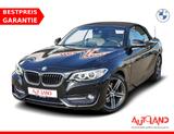 BMW 220i Sport Line Tempomat Sitzheizung Leder PDC - BMW 2er Reihe mit Benzin-Antrieb: Cabrio