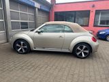 Volkswagen Beetle Cabriolet Sport.Leder.Xenon.Kamera.Navi. - : Roadster, Sport