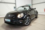 Volkswagen New Beetle Cabrio Sound SHZ+Navi+CarPlay+PDC+RDK - Volkswagen Beetle: Sound