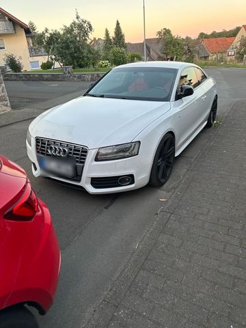 Audi  s5 v8