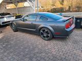 Ford Mustang - gebrauchte Ford Mustang aus dem Jahr 2005