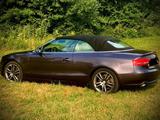 Audi A5 Cabrio 2.0 TFSI 211 PS (155 kW) - Audi Cabriolet: 2.0