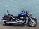 Suzuki VL 800 VOLUSIA MIT SCHÖNER AUSSTATTUNG - SUZUKI VL 800 VOLUSIA