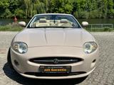 Jaguar XK 4.2L V8 Cabriolet Traumoptik Service Neu - Jaguar XK: Roadster