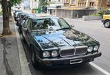 Jaguar Daimler Double Six 6.0 1993 XJ40 XJ81  V12... - Jaguar Daimler: 4.0